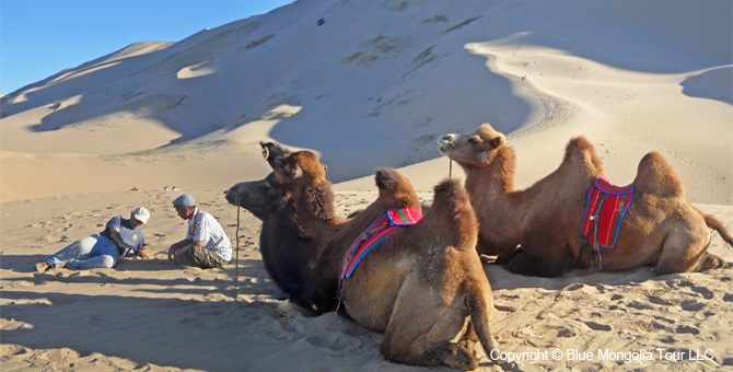 Tour Riding Active Travel Camel Caravan in Gobi Desert Image 3