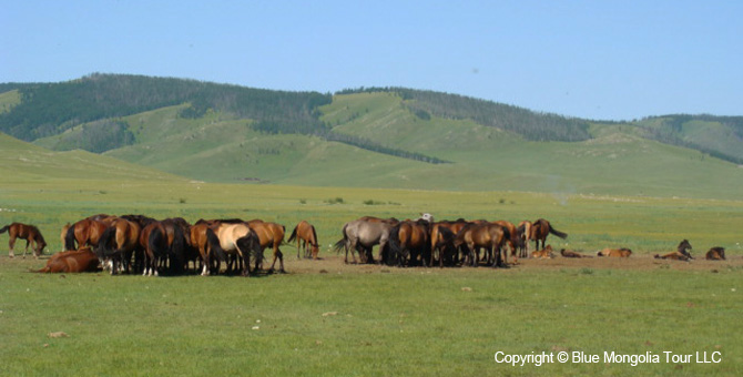 Tour Riding Active Travel Horse Riding In Historical Places Image 4