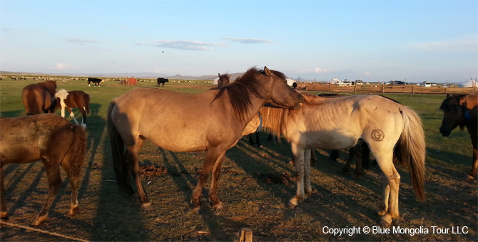 Tour Riding Active Travel Horse Riding In Historical Places Image 9