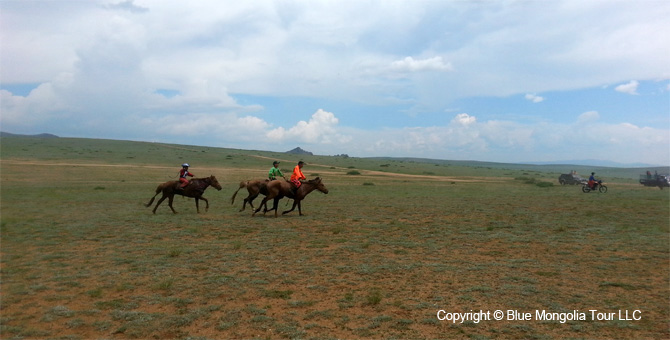 Tour Riding Active Travel Horse Riding Khangai Park Image 17