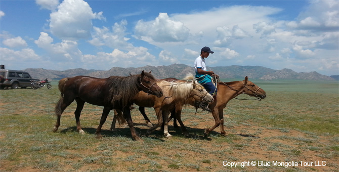 Tour Riding Active Travel Horse Riding Khangai Park Image 18