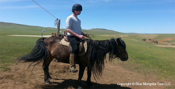 Tour Riding Active Travel Horse Riding Khangai Park Image 5