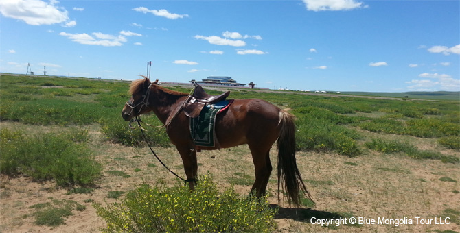 Tour Riding Active Travel Horse Riding Khangai Park Image 9