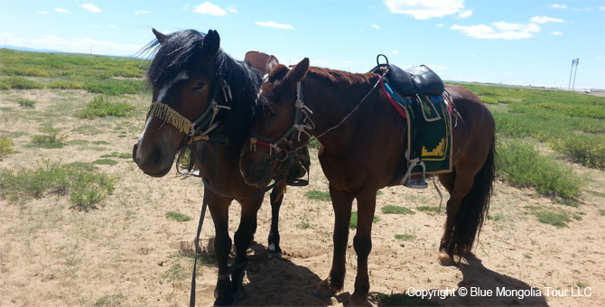 Tour Riding Active Travel Horseback Riding In Mongolia Image 6