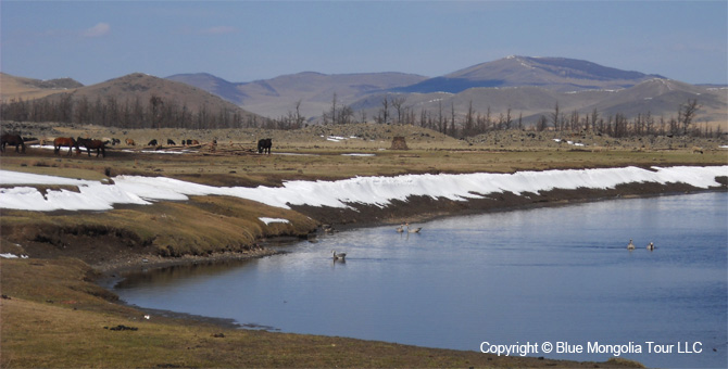 Tour Short Day Tour Chinggis Khan Statue Terelj Park Image 7