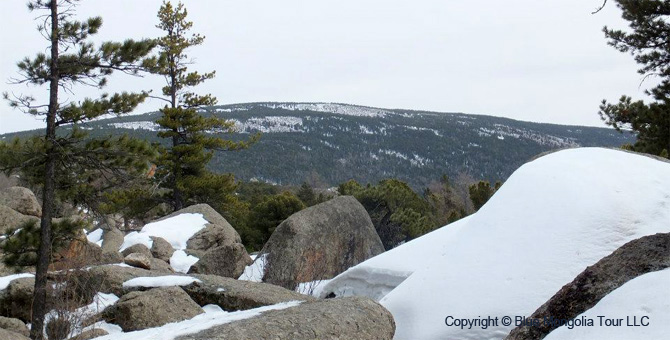 Tour Short Day Tour Hiking in Bogd Khan Mountain Image 01