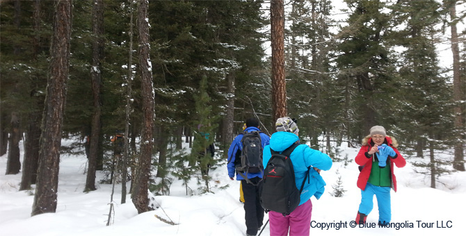 Tour Short Day Tour Hiking in Bogd Khan Mountain Image 3