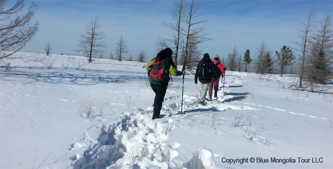 Tour Short Day Tour Hiking in Bogd Khan Mountain Image 5