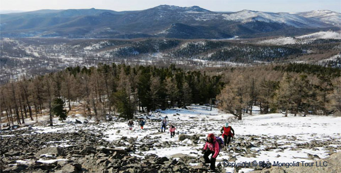 Tour Short Day Tour Hiking in Bogd Khan Mountain Image 6