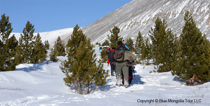 Tour Short Day Tour Hiking in Bogd Khan Mountain Image 9